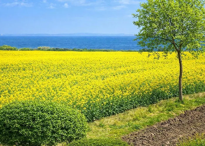 Lovely In With House Sea View Nordborg